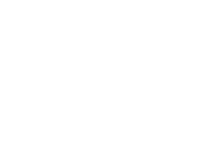 Five Monkeys Media